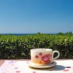 Casa Turchese Intima Sulla Scogliera Vista Mare E Tramonti Апартаменты Коста-Парадисо