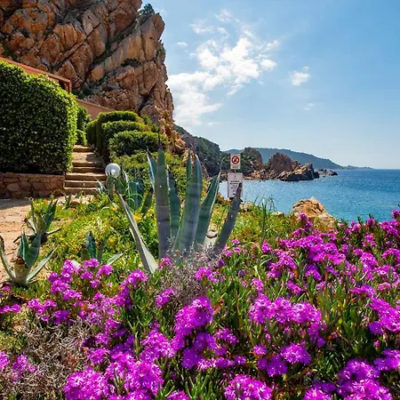 Casa Turchese Intima Sulla Scogliera Vista Mare E Tramonti Daire Costa Paradiso